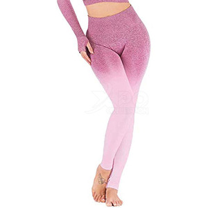 Sport Girls Seamless Fitness Sport Wear Leggings 2024 High Elastic Gym Wear Leggings para venta en línea - Product Image 2