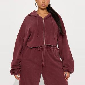 Ensemble de survêtement décontracté d'hiver pour femmes, personnalisé, écologique, à séchage rapide, grande taille, en coton, deux pièces, avec fermeture éclair, sweat-shirt à capuche et short - Product Image 3