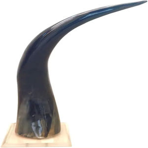 Pièce maîtresse en corne de taureau naturelle de 14 pouces fabriquée à la maison en inde longue tenture murale décorative pour anniversaire et mariage - Product Image 2