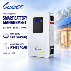 Batterie de stockage d'énergie résidentielle LiFePO4 murale compacte à haute efficacité 5,12 kWh 51,2 V 100 Ah pour système d'énergie solaire domestique - Product Image 3