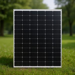 Panneau solaire Omnis Power Europe OP700M66-NT6-BF - Product Image 3