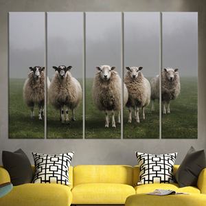 Impression artistique sur toile de moutons : œuvre d'art sur toile représentant des animaux de la ferme, design plat, lot de 5 toiles - Product Image 1