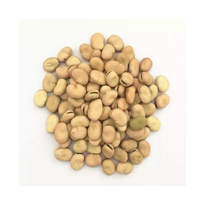 Haricots secs de haute qualité / Haricots de Fava / Haricots de cheval du Brésil, emballage en vrac de 50 kg, durée de conservation de 1 an, pour la consommation humaine - Product Image 1