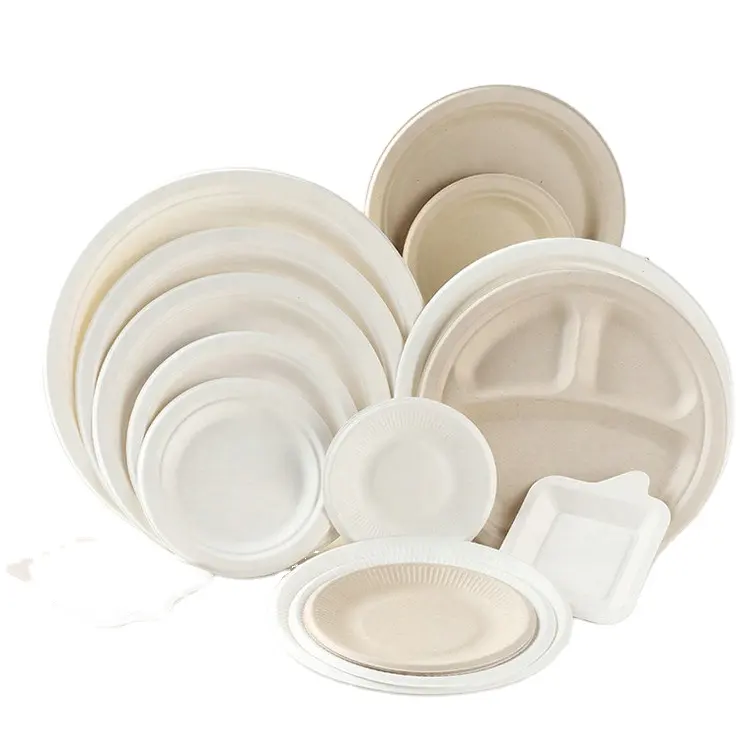 Ensemble d'assiettes bagasee compostables 250 pièces ensemble de vaisselle de fête jetable invités assiette en papier naturel blanc biodégradable