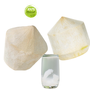 Coco pelado con diamante: una tendencia de Salud Global arraigada en la tradición - Product Image 1