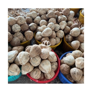 Noix de coco semi-décortiquée de haute qualité, provenance fiable, pour une base de cuisson nutritive et une coque durable pour la production d'énergie biocarburant - Product Image 1