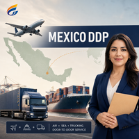 DDP Seefracht-Agent von China nach VAE, Niederlande, Afrika, USA, Rumänien, Europa, Kanada, Mexiko, Serbien, FedEx von China nach Dubai