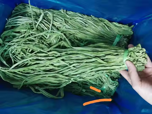 อาหารเยลลี่ผักอบแห้ง 5.03 ออนซ์ ผู้ส่งออกเยลลี่ผักจากภูเขา เวียดนาม แองเกิล - Product Image 4