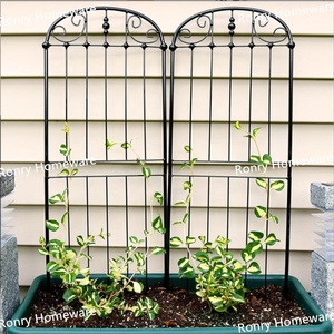 Juego De 2 <span class=keywords><strong>Enrejados</strong></span> De Alambre De Metal Para Plantas Trepadoras Y Flores Accesorios De Jardin - Product Image 3