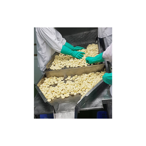 Exportadores mayoristas de plátano congelado de calidad superior que suministran rebanadas de plátano maduro natural para batidos y postres - Product Image 1