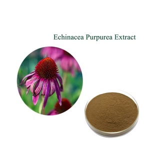 Bán buôn 100% tinh khiết tự nhiên <span class=keywords><strong>Echinacea</strong></span> chiết xuất bột 4% polyphenol bột <span class=keywords><strong>Echinacea</strong></span> Purpurea chiết xuất - Product Image 5