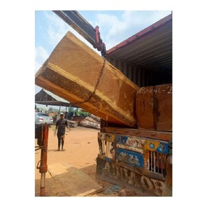 Bois exotique IROKO et bûches de bois brut pour la sculpture sur bois artistique et les projets spécialisés - Product Image 3