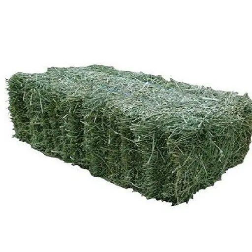 Alfafa Hay untuk hewan/Alfalfa hay pelet/Timothy di Hay Bales kualitas terbaik Super tinggi