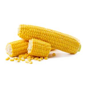 ข้าวโพดข้าวเหนียวเกรดอาหารแห้งแบบออร์แกนิกหรือแบบธรรมดาเกรดพรีเมี่ยม - Product Image 6