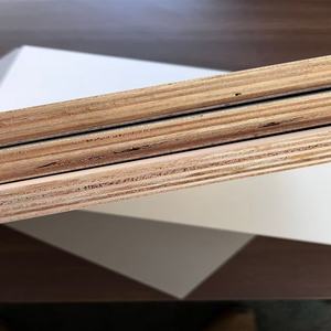 Großhandel Günstige Melamin-Sperrholzplatten Laminiertes Sperrholz - Product Image 4