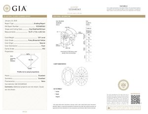 Fancy Brownish Yellow Natural Even 3,01 Quilates Oval Modified Cut VS2 Clarity Fancy Diamonds para la fabricación de joyas a precio mayorista - Product Image 2