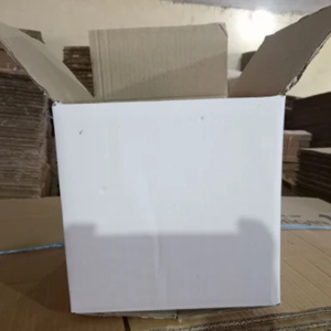 Embalaje de cartón corrugado portátil impermeable de materiales reciclados de alta resistencia para Industrias Indias - Product Image 1