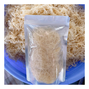 Faire de la mousse de mer à partir d'ingrédient Eucheuma Cottonii-Mousse de mer dorée salée séchée naturelle, prête à être expédiée Mousse irlandaise dorée séchée - Product Image 3