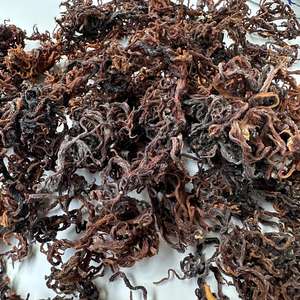 Premium <b>Natural</b> Dried Purple Gracilaria Eucheuma Cottonii Purple <b>Sea</b> <b>Moss</b> Sun-Dried for Food Cosmetic Industry Wholesale ANNA DO - Product Image 4