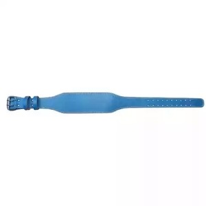 Cinturón de levantamiento de pesas Unisex, cinturón de levantamiento de pesas para gimnasio, soporte de espalda, fabricante dorado, novedad de 2022, venta al por mayor - Product Image 2