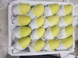 Xoài tươi cao cấp có sẵn với giá số lượng lớn để vận chuyển trên toàn thế giới - Product Image 6