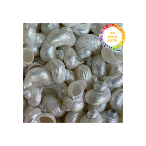 Porte-serviettes écologiques de qualité supérieure Décor fait à la main pour banquets élégants Restauration à base de coquillages naturels polis - Product Image 1