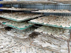 100% ธรรมชาติสำหรับอาหารนกแก้วสัตว์เลื้อยคลาน - Product Image 3