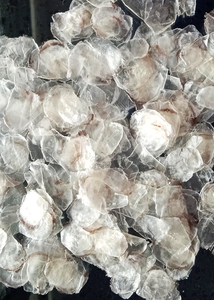 Độ tinh khiết cao cá Quy mô ossein/Công nghiệp-lớp/chất lượng cao - Product Image 6