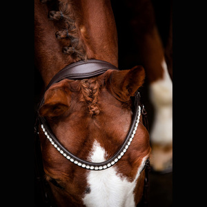 Bride anatomique Stanford en cuir de cheval Bride anatomique en cuir de cheval - Product Image 2