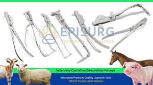 Forceps de castration vétérinaire Reimers Emasculator en acier inoxydable réutilisable 31 cm pour cheval, vache, bétail, mouton, animaux d'élevage - Product Image 6