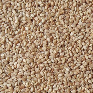 Productos Agrícolas Semillas de Sésamo Blanco Orgánico de Primera Calidad Grado A1+ Bolsas de PP de 25/50 kg Naturales Puras para la Salud - Product Image 4