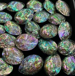 Concha de abulón auténtica, concha de Paua, Concha Ormer para decoración de arte con tema del océano, diseño del hogar y accesorios de joyería - Product Image 2