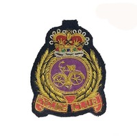 Écussons brodés 3D en métal bullion pour compagnies aériennes - Couleur personnalisée et qualité supérieure, style classique