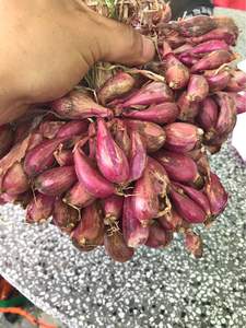 Cebollas moradas rojas en grandes cantidades de buena calidad para exportación desde Blue Lotus Farm Viet Nam - Product Image 6