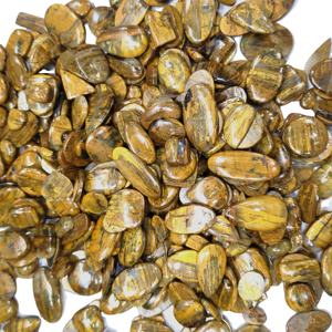 Nelita Natural al por Mayor, Cabujón Amarillo y Grisáceo, Formas Mixtas de 20-40mm, 10-20g, Gemas Sueltas para Joyería de Colgantes/Collares - Product Image 1