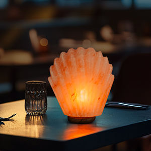 Lampe au sel de l'Himalaya sculptée à la main de haute qualité de meilleure qualité Décoration intérieure moderne écologique Artisanat naturel le plus vendu - Product Image 4