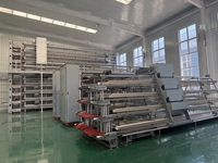Système de cages en batterie commercial pour poulets, équipement automatique avec système d'alimentation complet