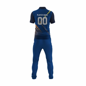 Proveedor de Fábrica, Precio al por Mayor, Uniforme de Cricket Transpirable 2025, Sublimación Personalizada, 100% Poliéster, Cricket Pakistaní y Estadounidense - Product Image 3