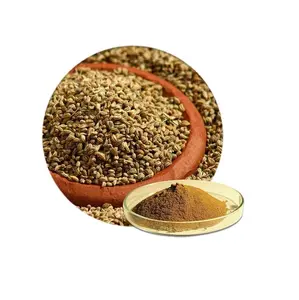 High on Demand Trachyspermum Ammi Ajwain Powder for Cooking Use Available at Affordable Price from India