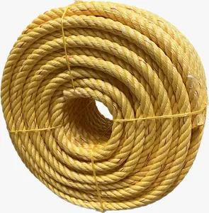 3 strands twisted PP Danline rope marine rope PP Twisted Packaging Rope for fishing net marine