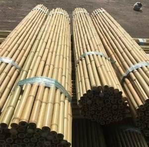 Poteau de bambou-poteaux de bambou droits secs naturels du Vietnam - Product Image 5