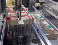 Machine de découpe et d'élimination des déchets entièrement automatique pour le décapage des trous intérieurs des boîtes, des coupes en carton, des étiquettes volantes et des cartes de découpe en carton