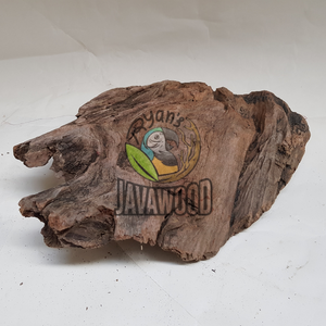 ความงามตามธรรมชาติในพิพิธภัณฑ์สัตว์น้ำของคุณด้วยการตกแต่งพิพิธภัณฑ์สัตว์น้ำที่ลอยอยู่ในอินโดนีเซียในราคาที่ดีที่สุดจากอินโดนีเซีย - Product Image 5