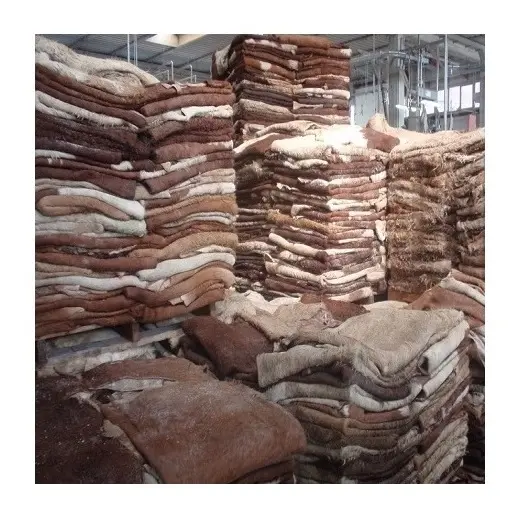 Online Buy / Order Top Quality Wet Salted and Dried Cow Hides With Best Quality Best Price Exports From Thailand