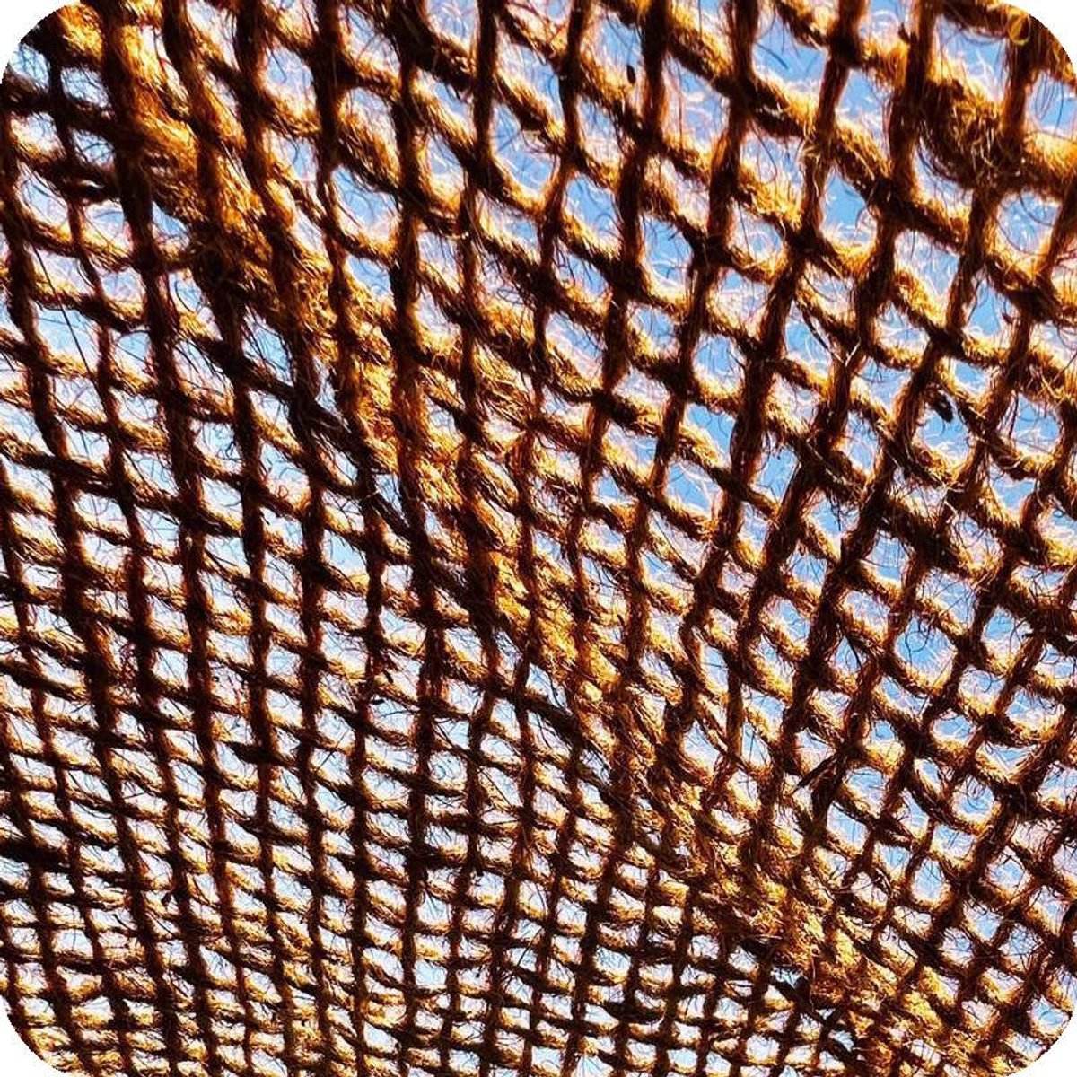 ช็อกโกแลต