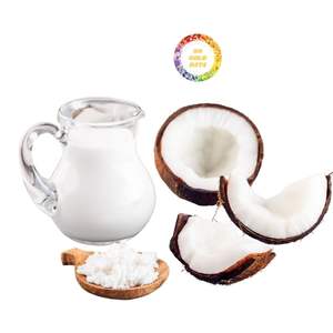 100% LECHE EXTRACTORA DE CARNE DE COCO PURA VIETNAM LECHE DE COCO DE ALTA CALIDAD CON ETIQUETA PRIVADA - Product Image 2