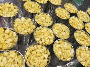 Disponibilidad de Exportación Inmediata: Piña Enlatada de Vietnam - Calidad Garantizada, Precio de Mercado Más Bajo. - Product Image 6
