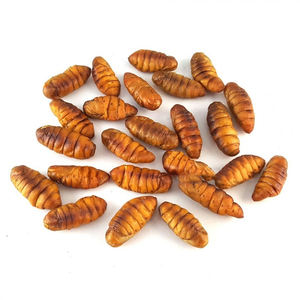 Vers à soie séchés congelés de qualité supérieure - Product Image 4