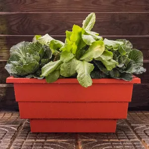 Pot de plante pour conteneur accessoires boîte de jardinière rectangulaire baignoire à fleurs/POTS/Pergola rouge brique couleur Rectangle Pot plastique - Product Image 2