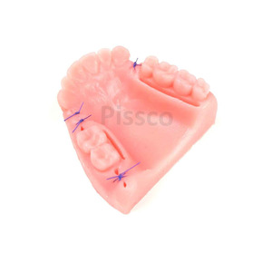PISSCO Scalpel dentaire chirurgical, Lames de scalpel dentaire, Scalpel chirurgical pour usage dentaire - Product Image 2